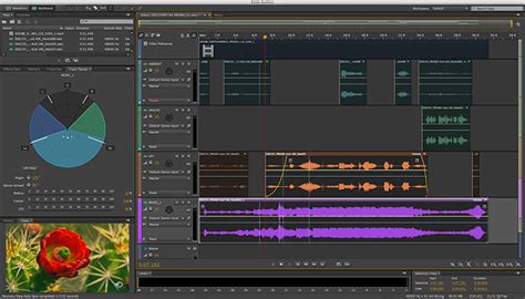 Adobe Audition Software