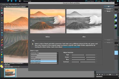 Adobe Photoshop Elements 10 Guide