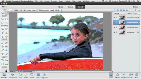 adobe photoshop elements 11 adobe premiere elements 11