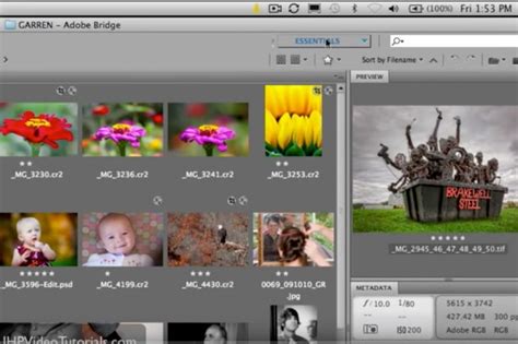 Read Online Adobe Bridge Cs5 User Guide 