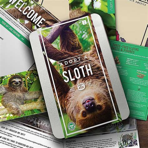 adopt a wild sloth pacj france