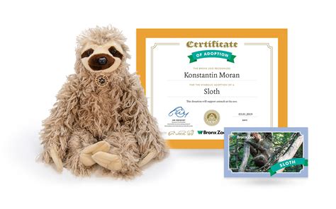 adopt a wild sloth vokx france