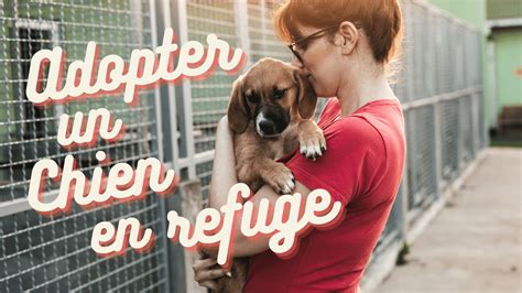 Adopter