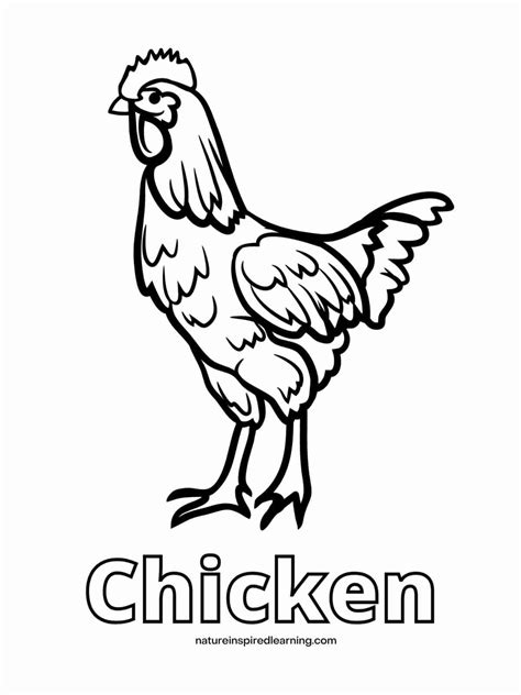Adorable Chicken Coloring Pages Nature Inspired Learning Chicken Coloring Pages For Adults - Chicken Coloring Pages For Adults