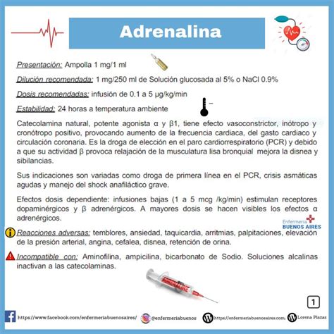 adrenalina racemica mecanismo de accion pdf