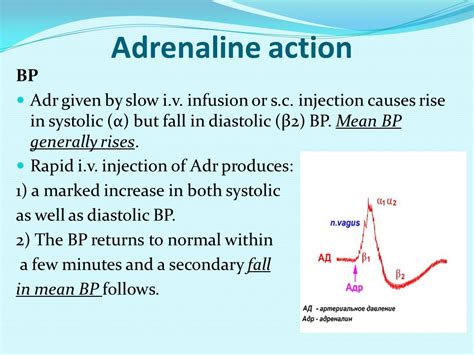 Adrenaline Injection Action