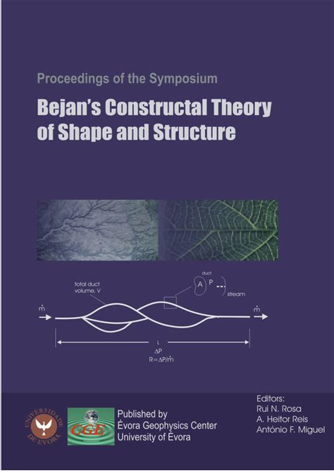 Read Adrian Bejan Constructal Theory Solutions 
