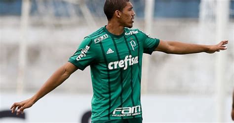 adryelson palmeiras