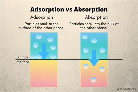 Adsorb Vs Absorb