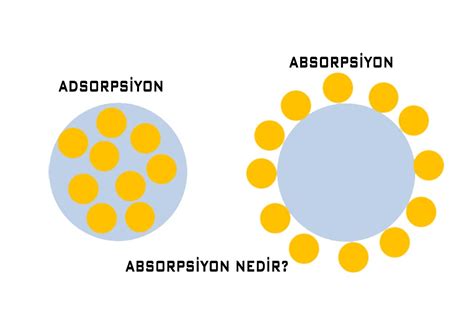 adsorpsiyon türleris