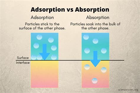 Adsorption Vs Absorption Differences And Examples Science Notes Absorption Science - Absorption Science