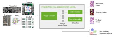 Advancec Cell Segmentation Nvidia