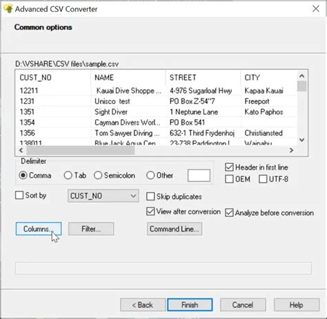 Advanced Csv Converter