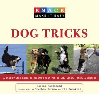 advanced dog tricks disruption teach