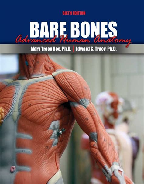Advanced Human Anatomy Spring Final Exam Review