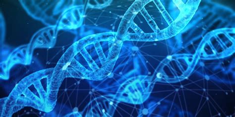 Advanced Molecular Genetics