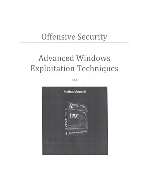 advanced windows exploitation techniques