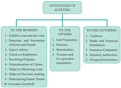 Advantages Of Auditing