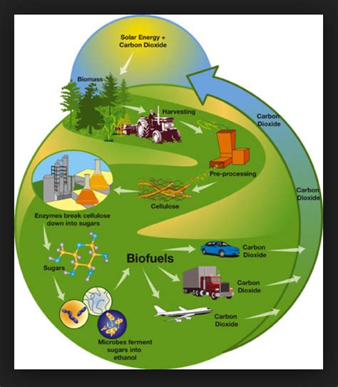 Advantages Of Biomass