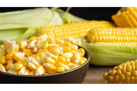 Advantages Of Sweet Corn