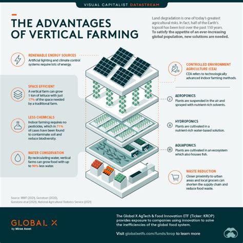 Advantages Of Vertical Farming
