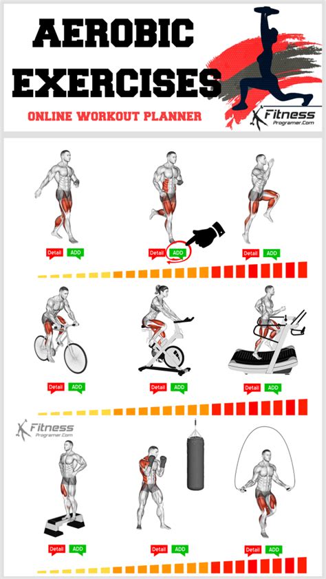 aerobic training exercise