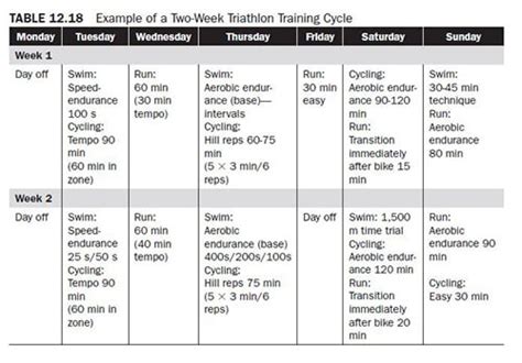 aerobic training program example