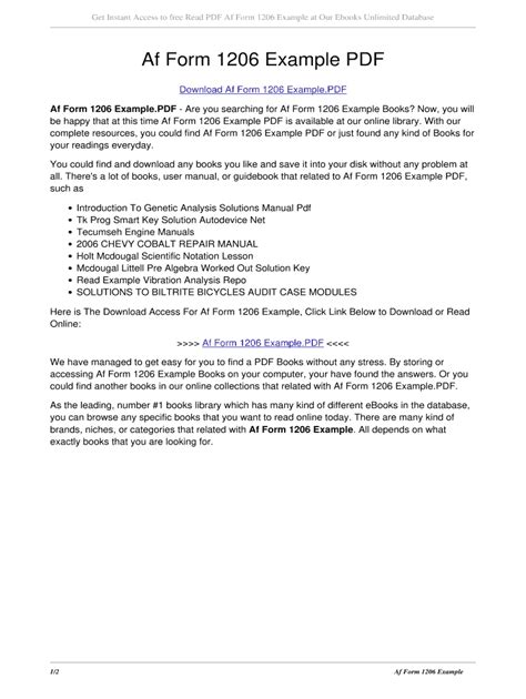 Af 1206 Narrative Example