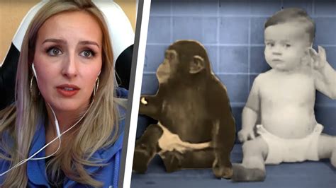 affe will kind entführen