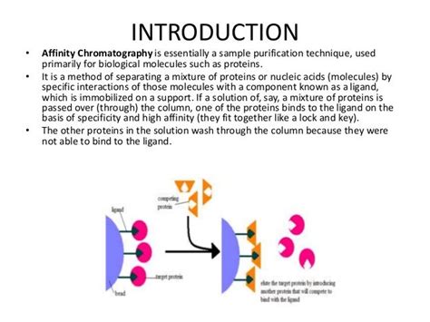 Affinity Chromatography Slideshare