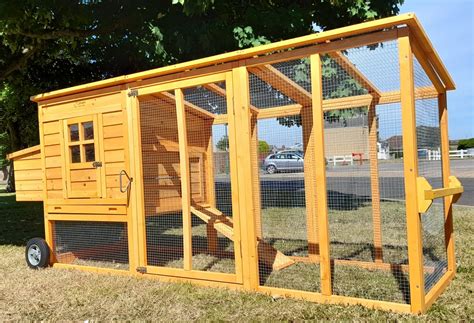 Affordable Chicken Coops