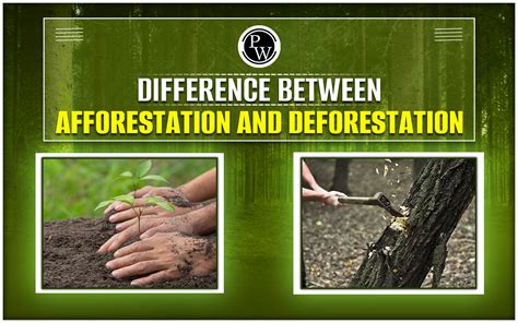 Afforestation And Deforestation