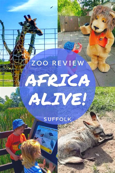 africa alive reviews