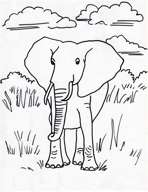African Elephant Coloring Page Art Starts African Elephant Coloring Page - African Elephant Coloring Page