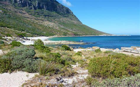 african nude beach