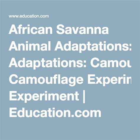 African Savanna Animal Adaptations Camouflage Science Animal Camouflage Worksheet - Animal Camouflage Worksheet