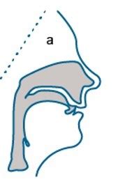 afrikaanse vertaling troebel