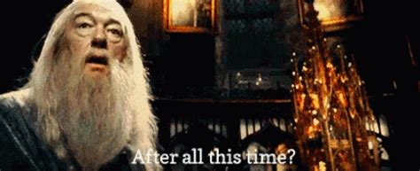 After All This Time Dumbledore