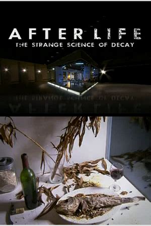 After Life The Strange Science Of Decay Worksheet Decay Science - Decay Science