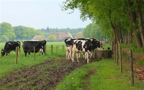 afwijkende bestemming