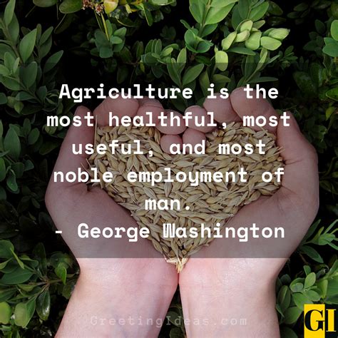 Ag Education Quotes