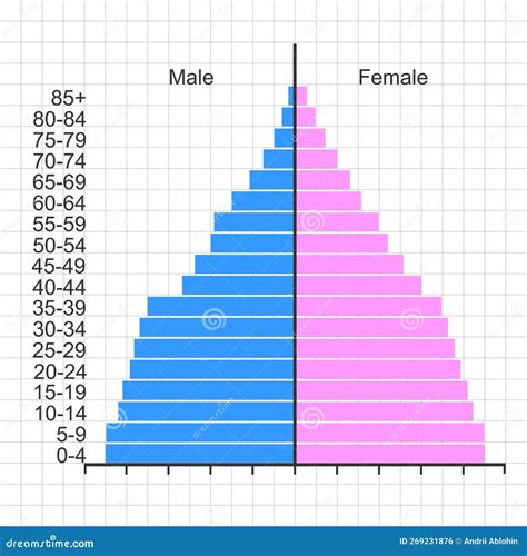 Age Distribution Pyramid