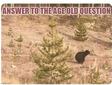 Age Old Question