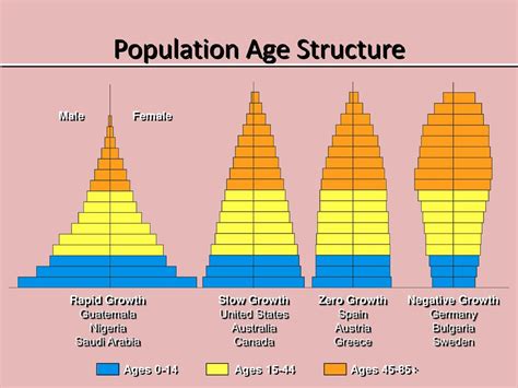 Age Structure Diagram Apes