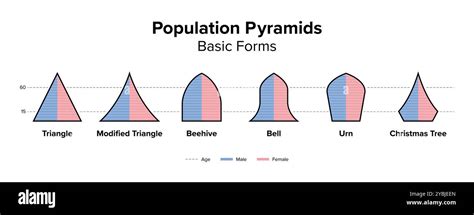 Age Structure Diagram Definition