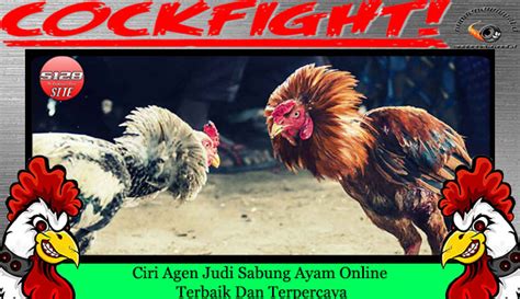 Agen Sabung Ayam Online Terbaik Di Indonesia By Bolawin57 - Situs Judi Ayam Bangkok Online