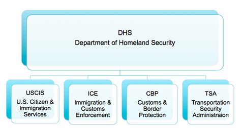 Agencies Within Dhs