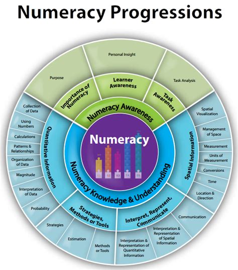 Download Ages Stages Of Numeracy Development The Cccf 