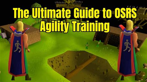 Agility Training Guide Osrs