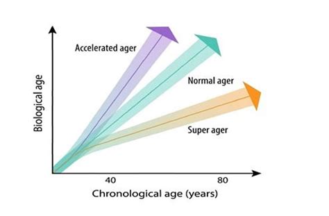 Aging Death And Human Longevity A Philosophical Inquiry